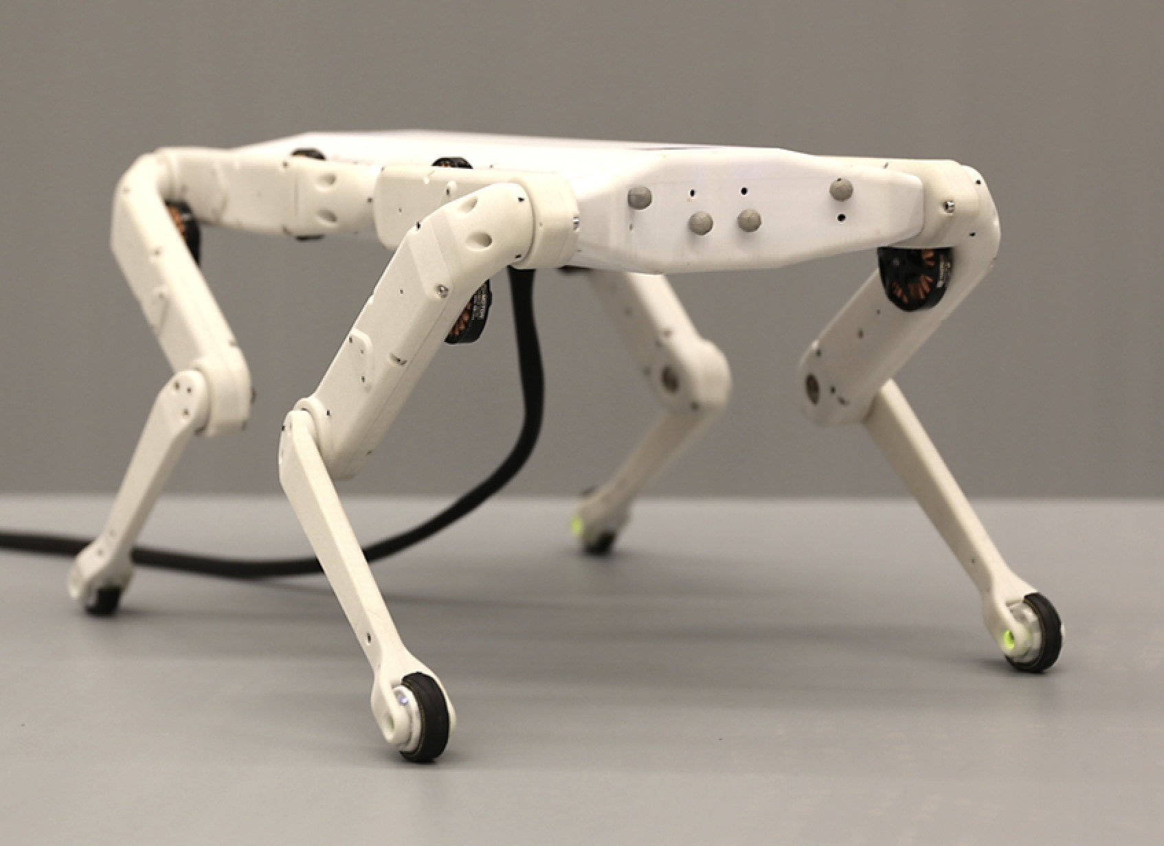 Robotyczny pies wydrukowany w drukarce 3D