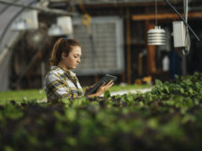 kobieta pracująca przy hodowli roślin, w dłoniach trzyma tablet