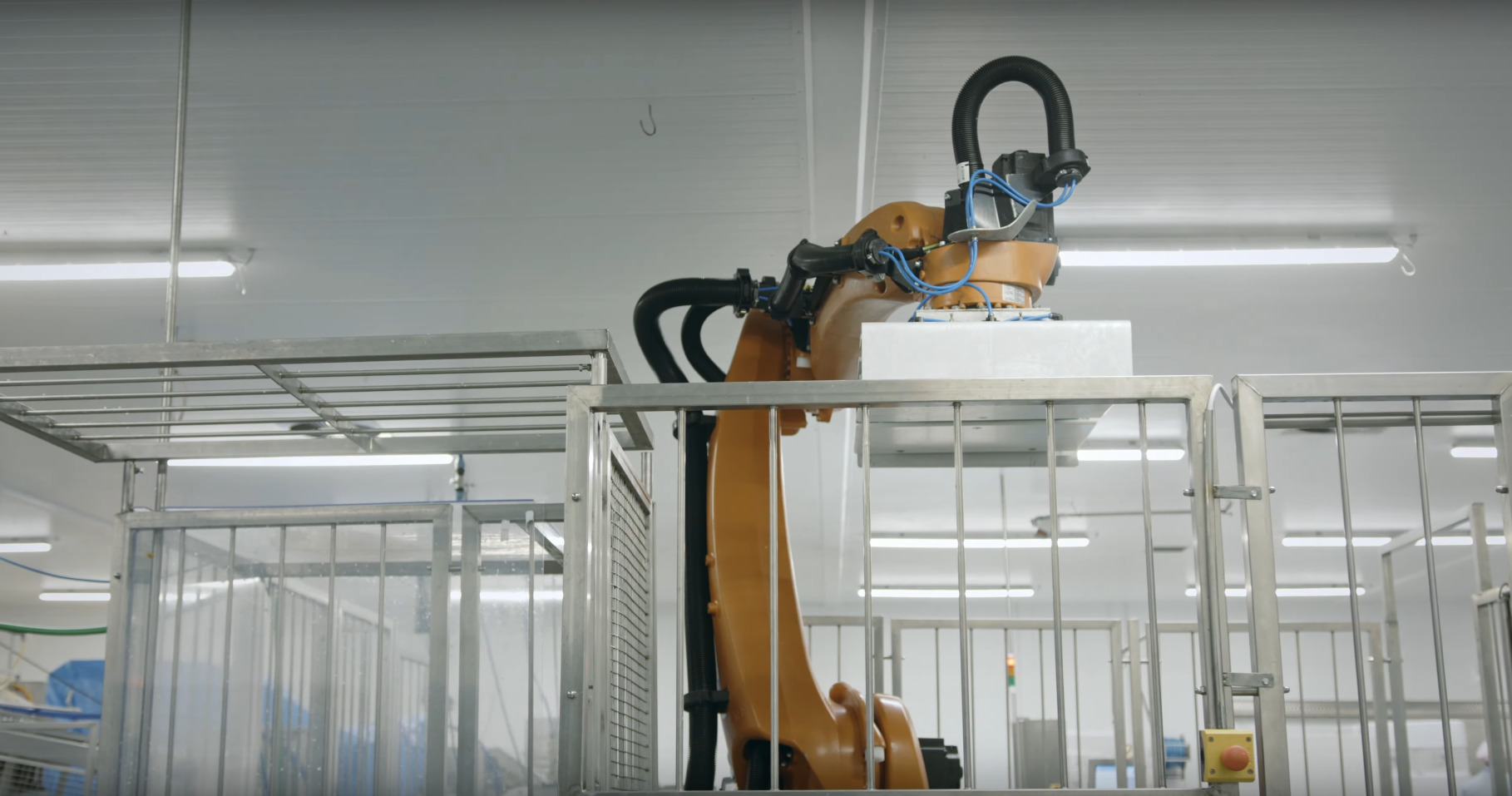 Koło Darłowa robot każdego dnia układa na paletach 80 ton towaru