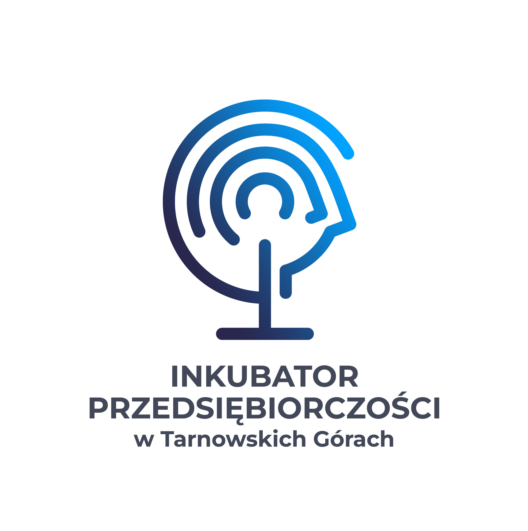 Inkubator Przedsiębiorczości sp. z o.o.